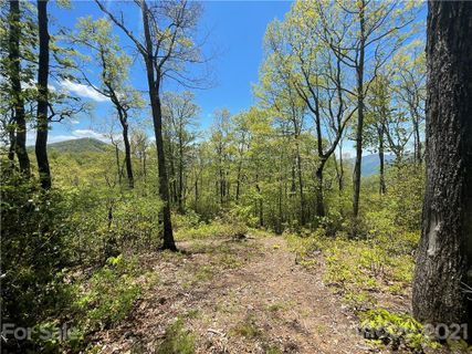 148 Preserve Road