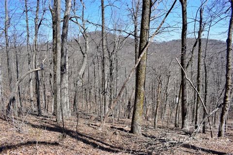 0 Trillium Court