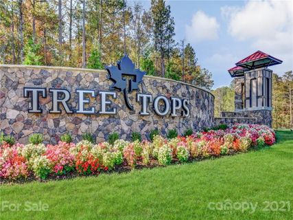 9273 Wind Cave Street 562