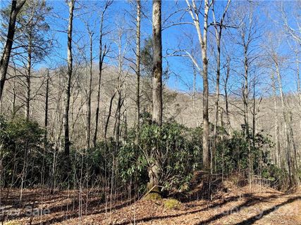 00 Golden Trout Drive 48