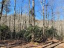 00 Golden Trout Drive 48 sold home in Spruce Pine, SC