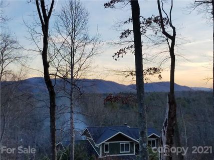 74 Spy Pointe Lane sold home in Spy Glass Pointe, Fletcher, NC