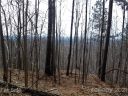 Lot 92 Big Rock Road sold home in Bostic, SC