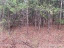 0 Chisholm Trail sold home in Rutherfordton, SC