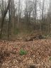 19 Bufflehead Drive Lot 19 sold home in Mooresville, SC