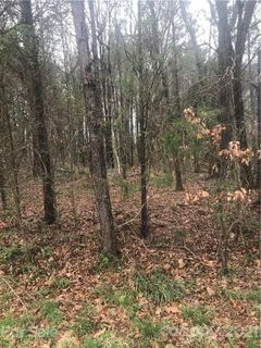 Lot 134 Spring Run Drive