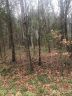 Lot 134 Spring Run Drive sold home in Mooresville, SC