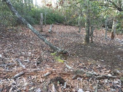 256 Deer Walk
