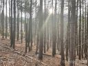 29 Tallwood Road sold home in Leicester, SC