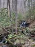 3199 High Shoals Road sold home in Lenoir, SC