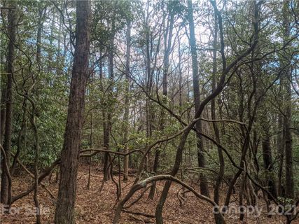 Tbd Wipprecht Drive 7 & 8 sold home in Humpback Mountain, Spruce Pine, NC