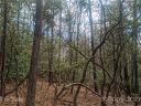Tbd Wipprecht Drive 7 & 8 sold home in Spruce Pine, SC