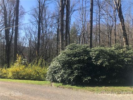 Lot 9 Barberry Circle sold home in Barberry Heights, Brevard, NC