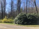 Lot 9 Barberry Circle sold home in Brevard, SC