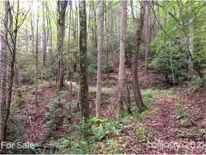 Tbd Hemlock Circle 132