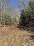 Lot 43 Moonlight Drive sold home in Bryson City, SC