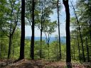 176 Winterberry Drive sold home in Marshall, SC