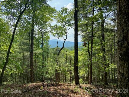 226 Winterberry Drive 18
