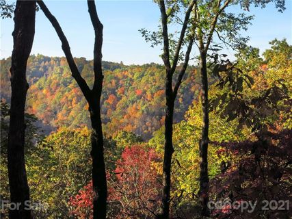 9999 Wild Rose Lane 11 sold home in Whiskey Creek, Brevard, NC