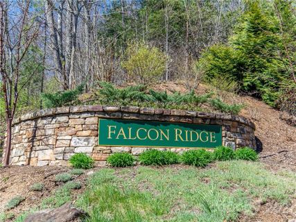 131 Boulder Creek Way 12 sold home in Falcon Ridge At Haw Creek, Asheville, NC