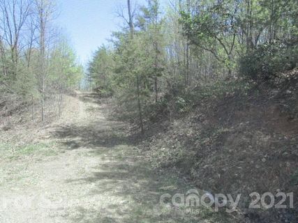 000 Green Point Lane 14 sold home in Majestic Mountain, Boomer, NC