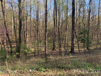 41 Eutaw Drive sold home in Wisackola Park, Waxhaw, NC
