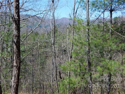 00 Blueberry Drive A sold home in Cane River Hamlet, Burnsville, NC