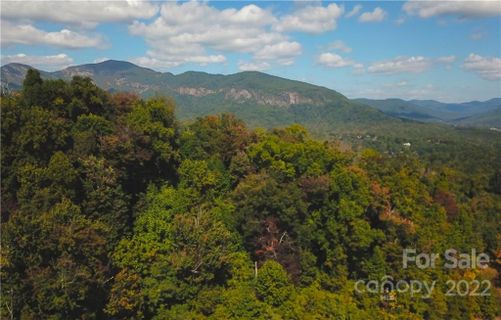 53 Bear Cliff Way