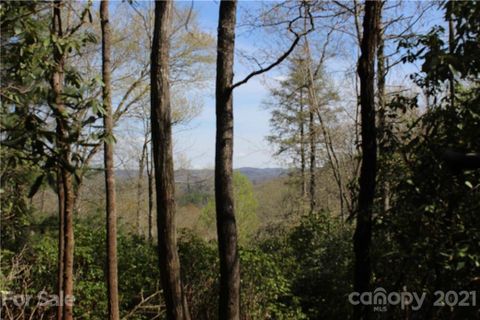 19 Hawkins Hollow Road sold home in The Reserve, Pisgah Forest, NC