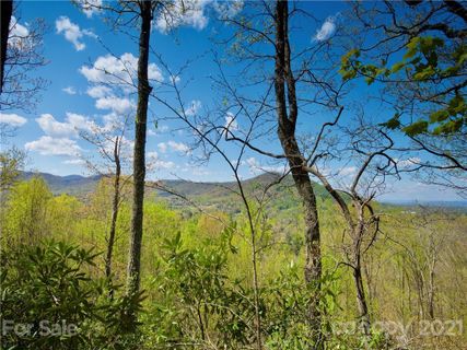 222 Secluded Hills Lane 40