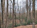 00 Melrose Mountain Road 508 sold home in Tryon, SC
