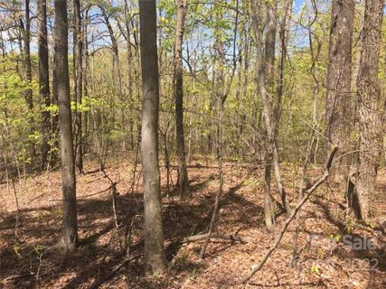 0 Pinnacle Parkway 16