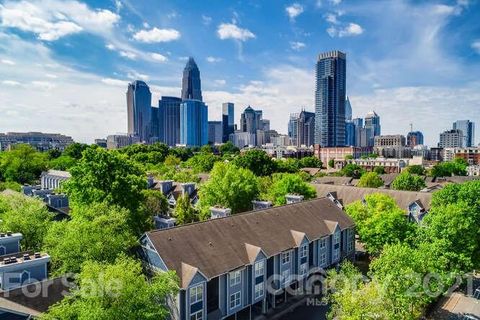517 Graham Street 1B