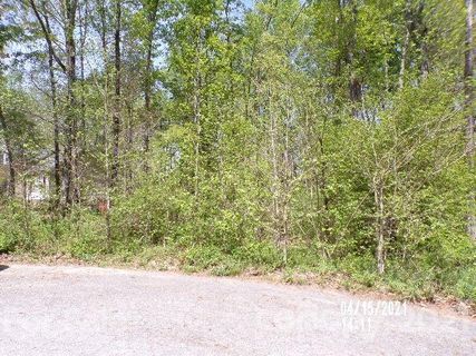 557 Hickory Wood Drive