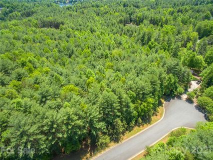 1291 Bluestone Court 39