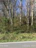 Lot 22 23 Barberry Circle sold home in Brevard, SC
