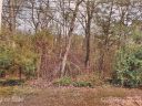2101 Arapaho Drive sold home in Charlotte, SC