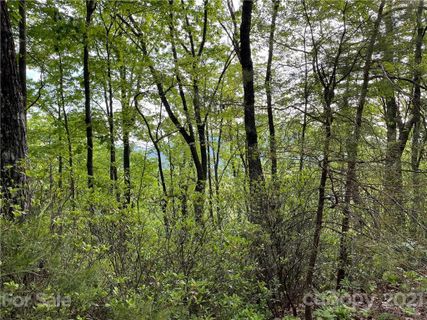 Lot 88 Bolt Road sold home in Quail Ridge, Lake Lure, NC