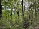 Lot 88 Bolt Road sold home in Lake Lure, SC