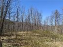 847 N Haven Drive T49 sold home in Black Mountain, SC
