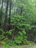 0 Melrose Mountain Road 513 sold home in Tryon, SC