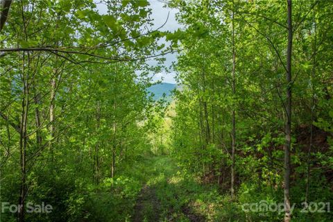 5 Jacobs Ladder Lane sold home in Sonrise, Swannanoa, NC
