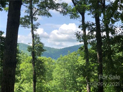 72 Smokey Ridge Trail 196