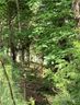 6881 Pine Moss Lane sold home in Clover, SC