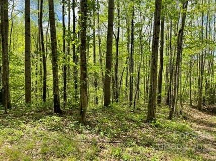 1362 Preserve Road 4