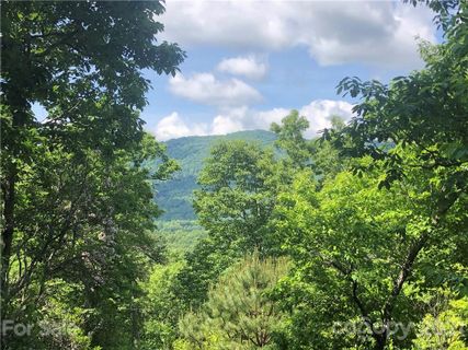 68 Smokey Ridge Trail 197