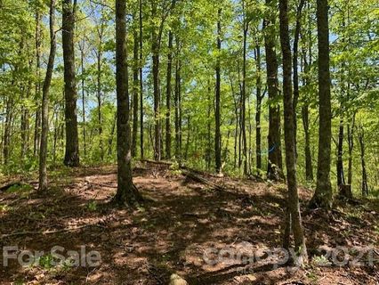 0 Smoky View Drive sold home in Nantahala Village, Bryson City, NC