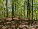 0 Smoky View Drive sold home in Bryson City, SC