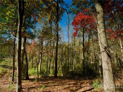 104 Powder Creek Trail 31A