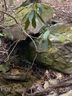 Lot 58 Lost Panther Road sold home in Brevard, SC